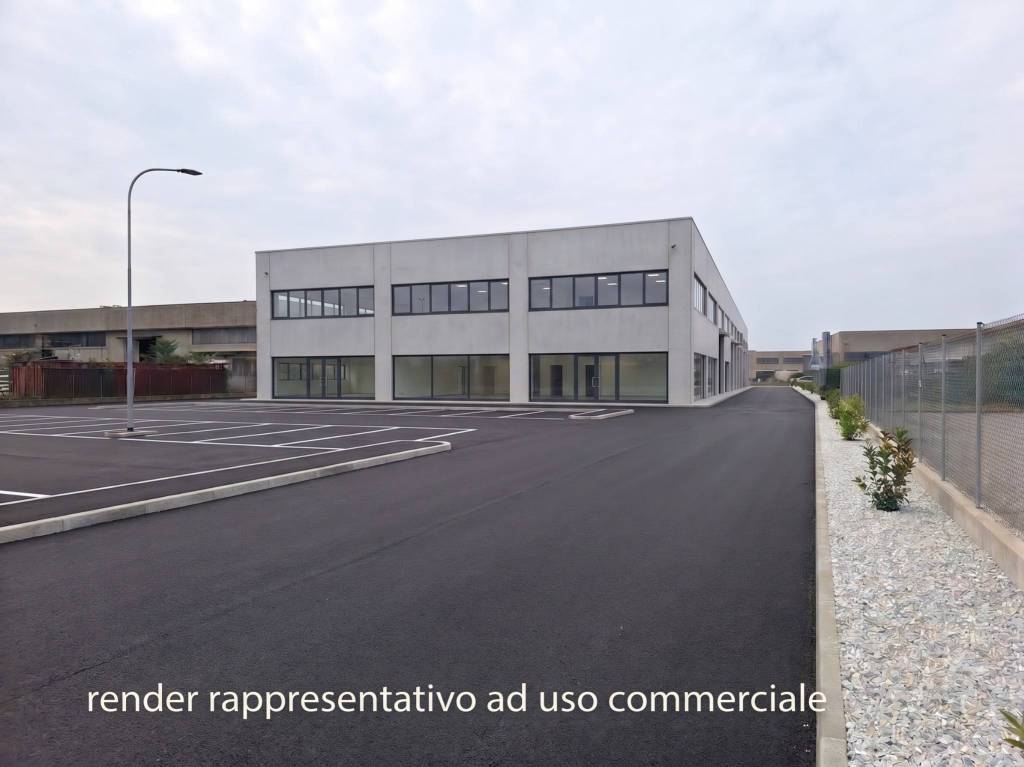 immagine annuncio 6 di 8