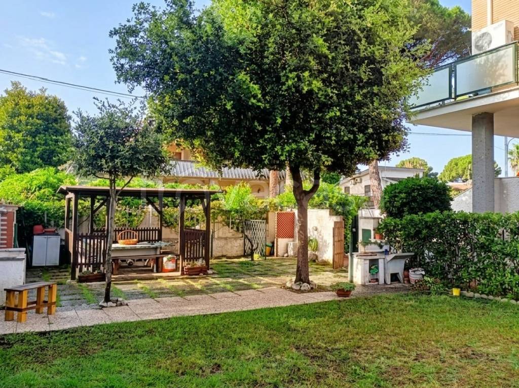immagine annuncio 6 di 12