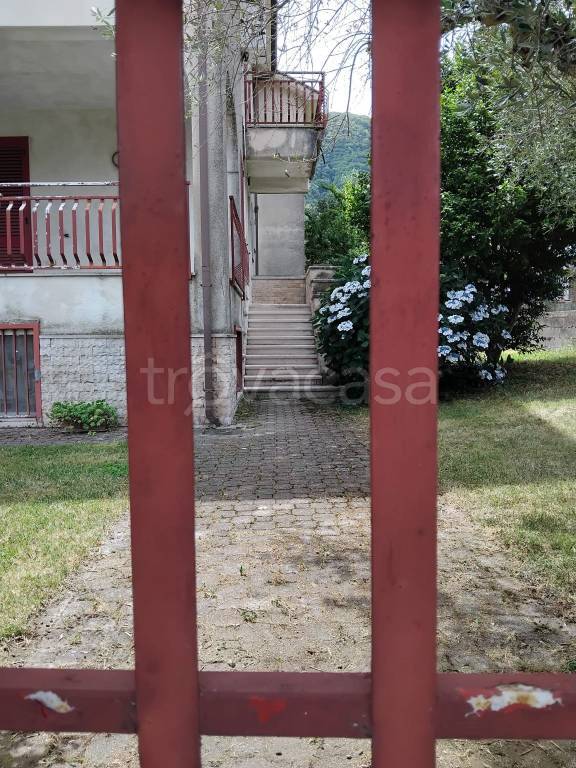 immagine annuncio 11 di 13