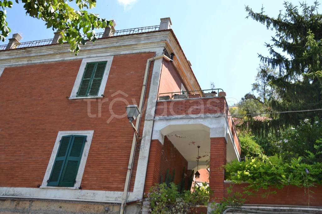 immagine annuncio 11 di 12