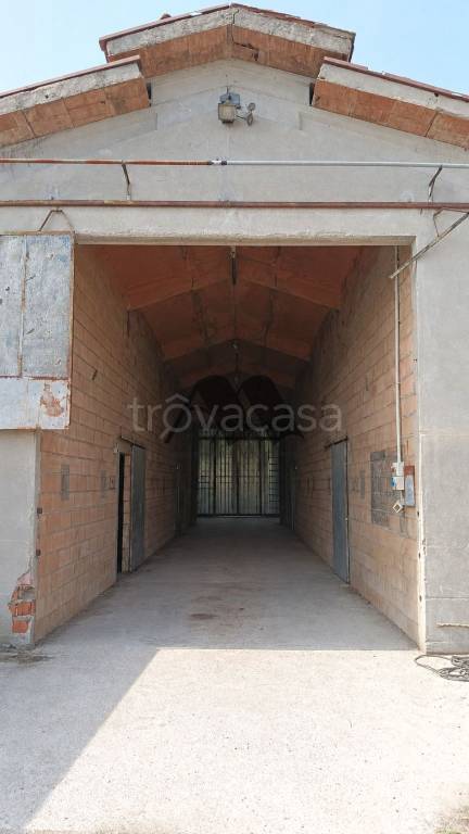 immagine annuncio 4 di 6