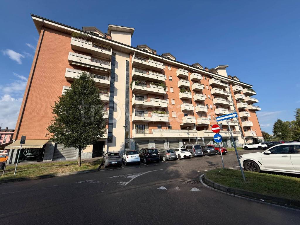 immagine annuncio 12 di 15