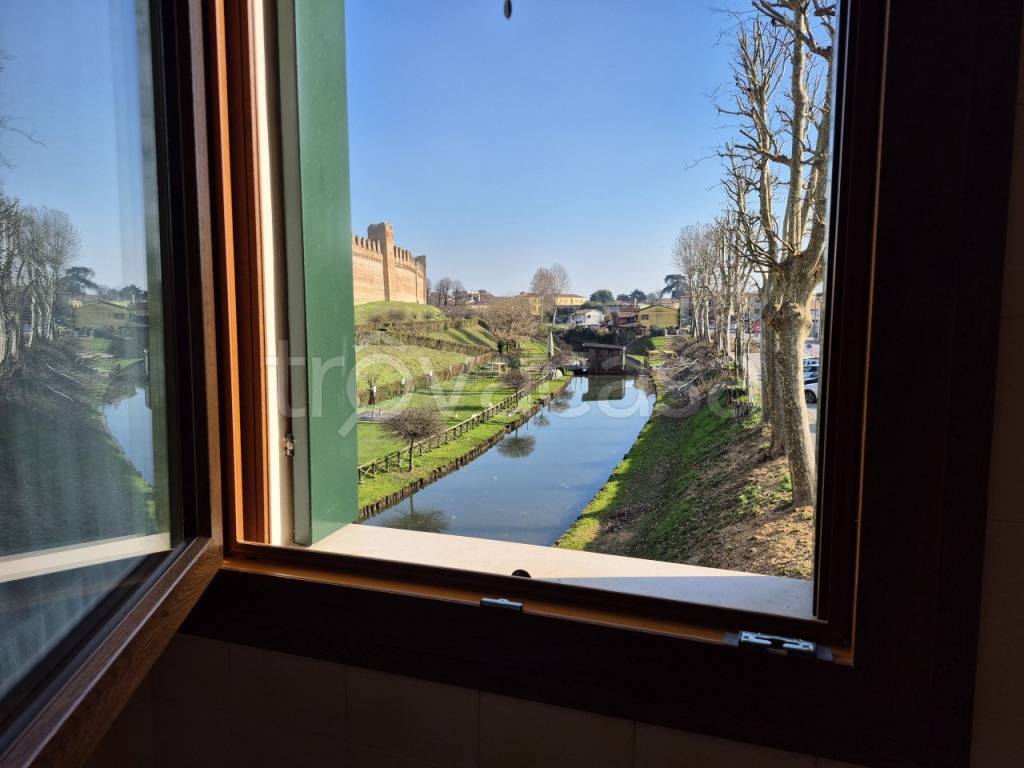 immagine annuncio 2 di 14