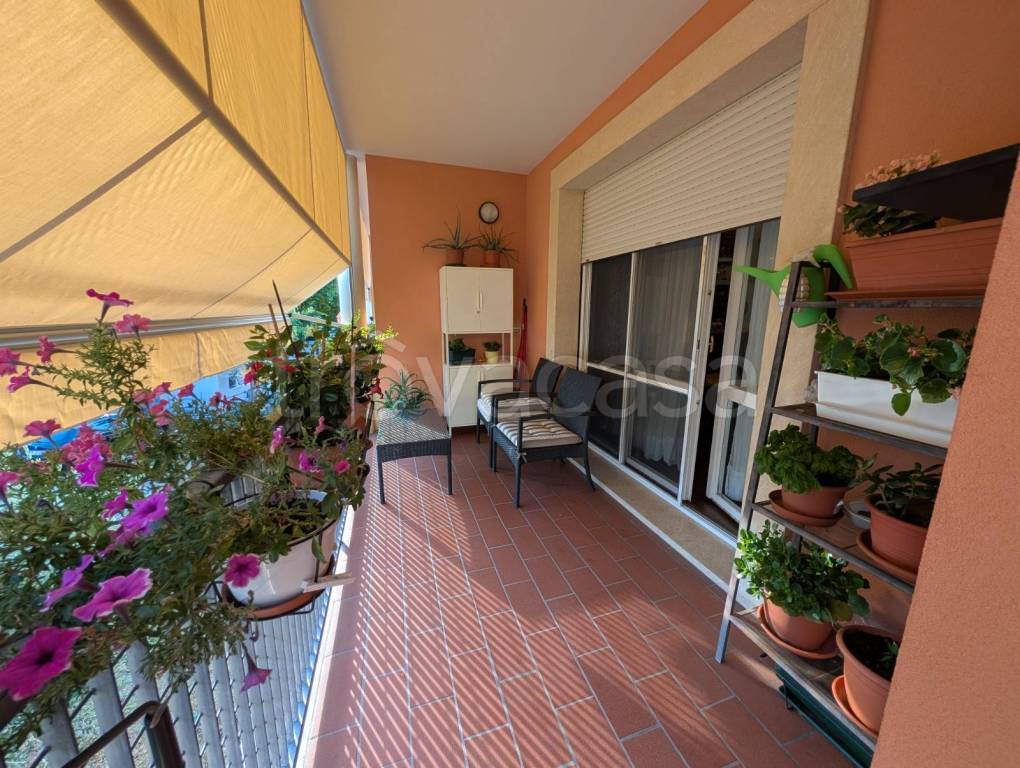 immagine annuncio 6 di 11