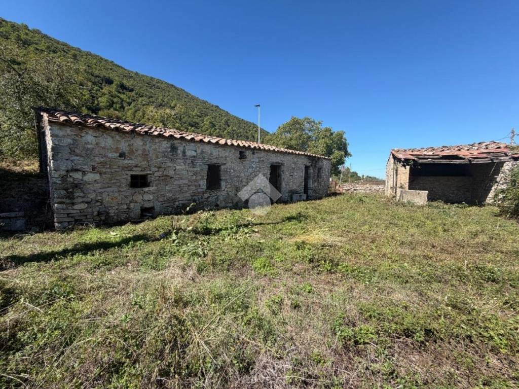 immagine annuncio 8 di 12