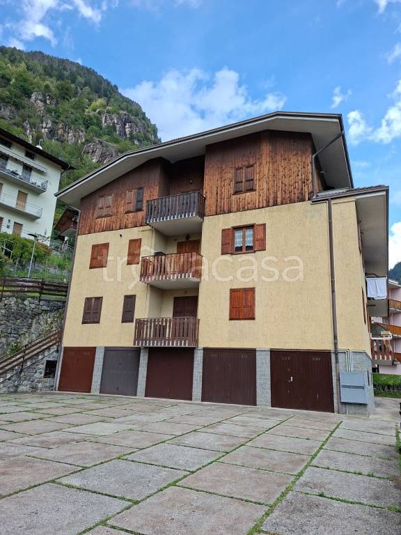 immagine annuncio 1 di 12
