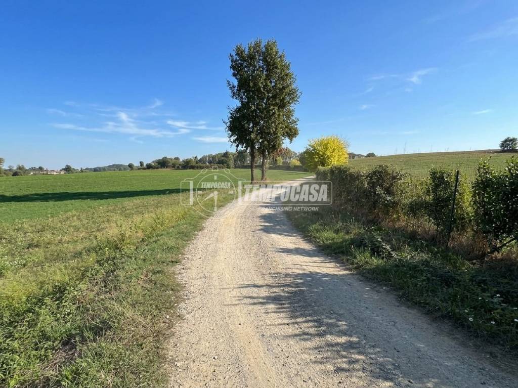 immagine annuncio 1 di 11