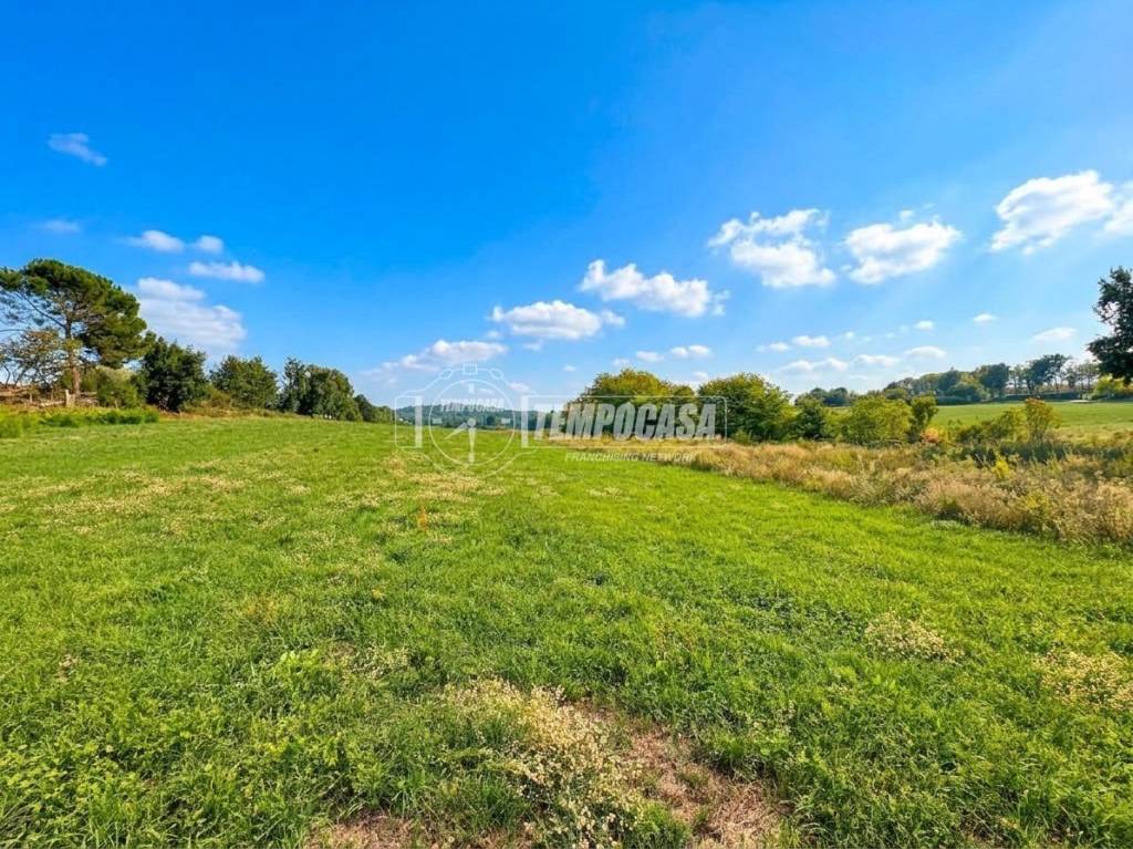 immagine annuncio 6 di 11