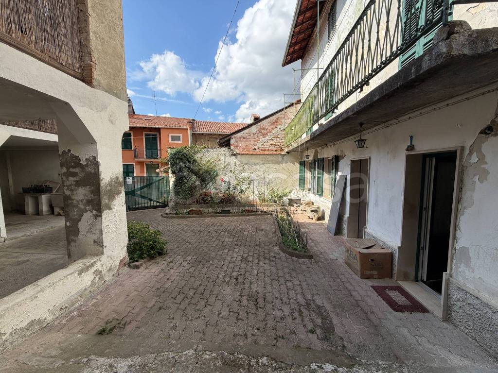 immagine annuncio 1 di 15