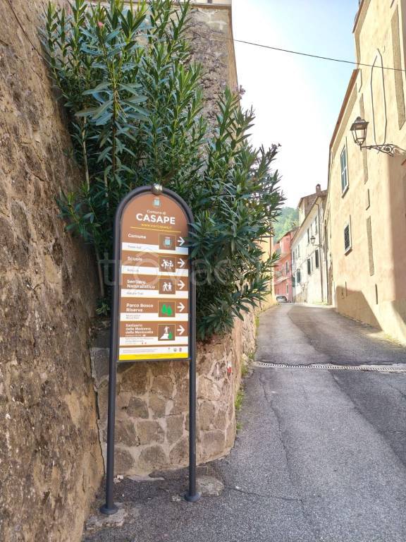immagine annuncio 4 di 6