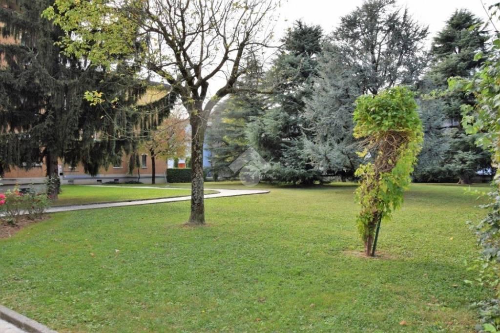 immagine annuncio 10 di 14