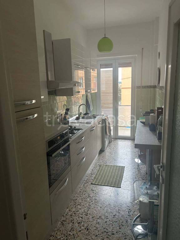 immagine annuncio 7 di 14