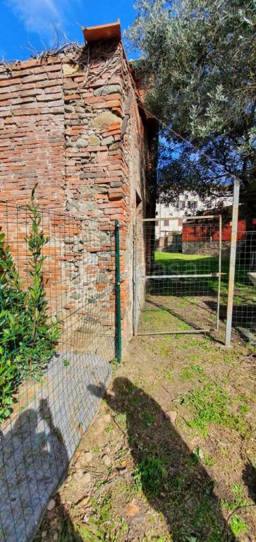 immagine annuncio 6 di 8
