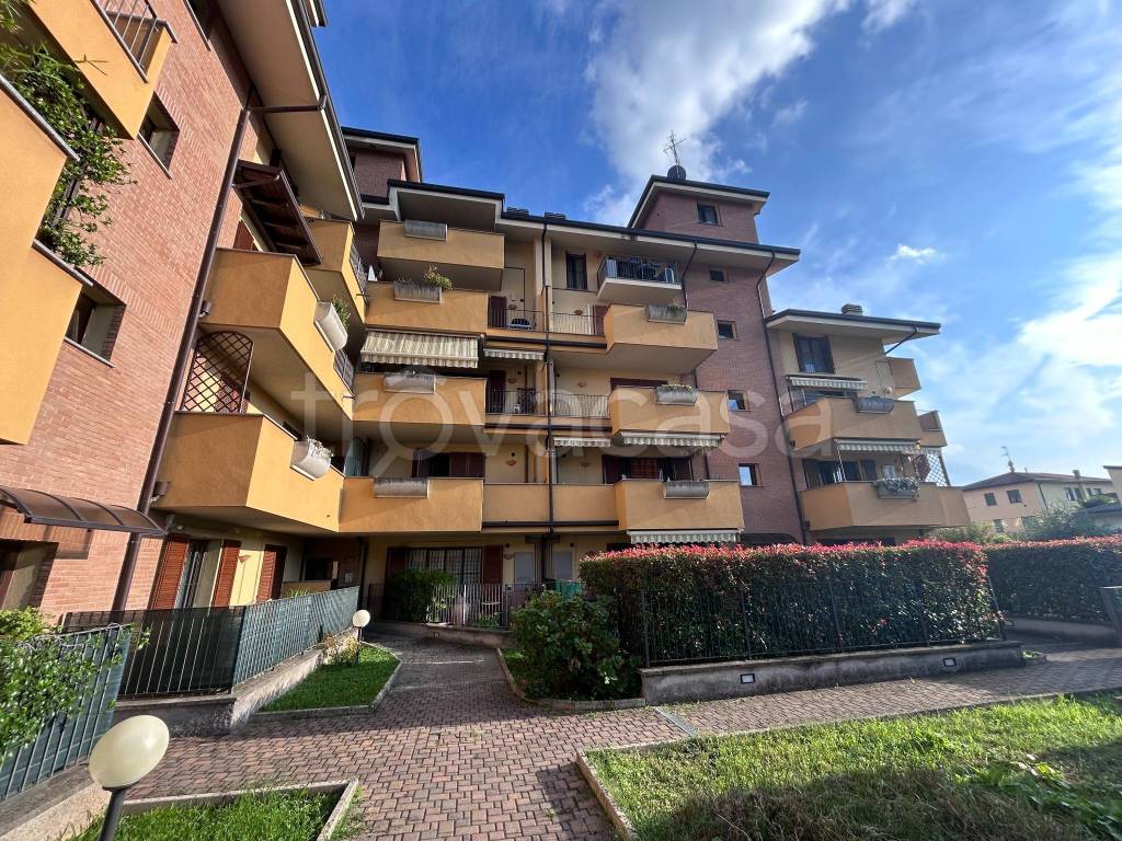 immagine annuncio 5 di 15