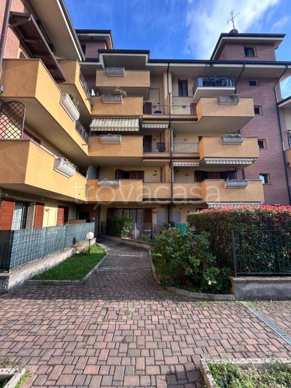 immagine annuncio 6 di 15