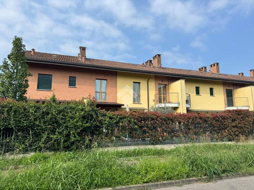 immagine annuncio 1 di 15