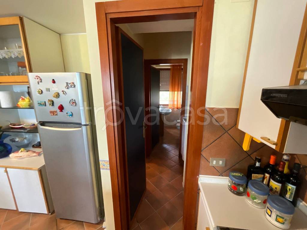immagine annuncio 9 di 14