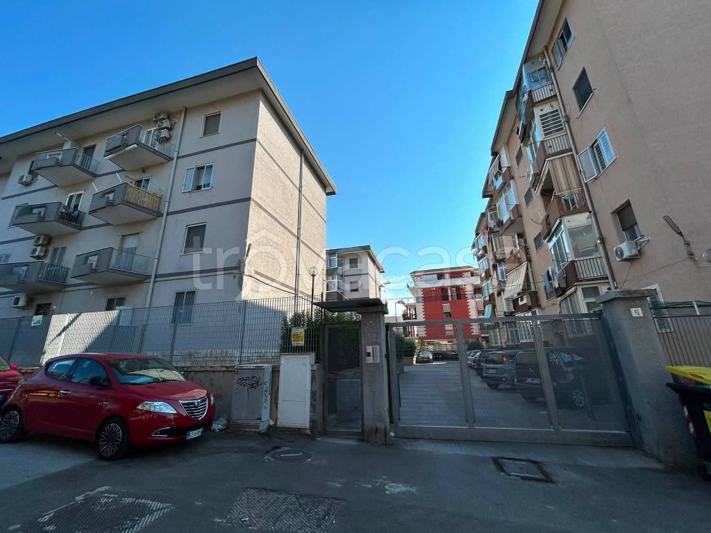 immagine annuncio 2 di 7