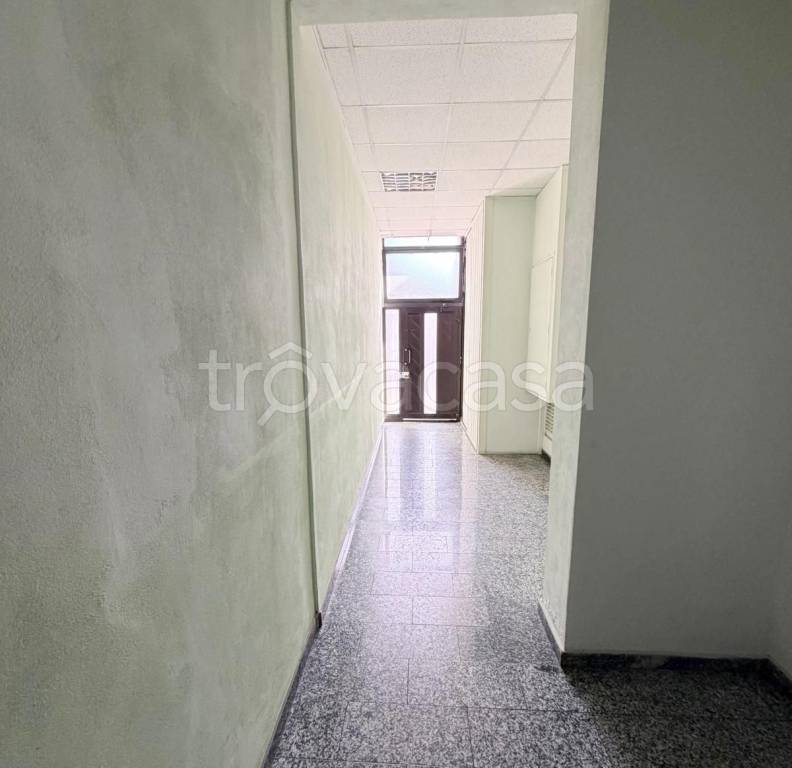 immagine annuncio 13 di 14