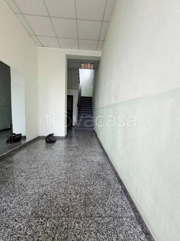 immagine annuncio 12 di 14