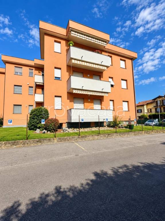immagine annuncio 11 di 12