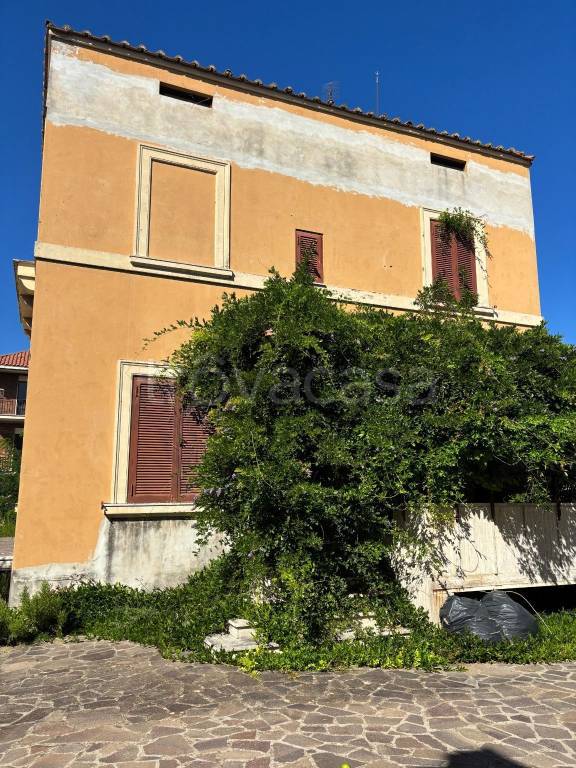 immagine annuncio 7 di 14