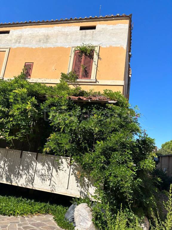 immagine annuncio 8 di 14
