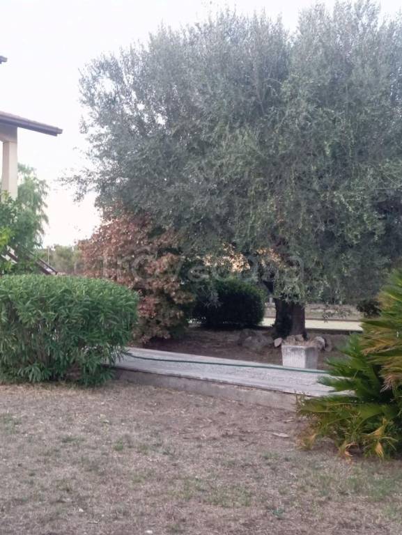 immagine annuncio 11 di 13