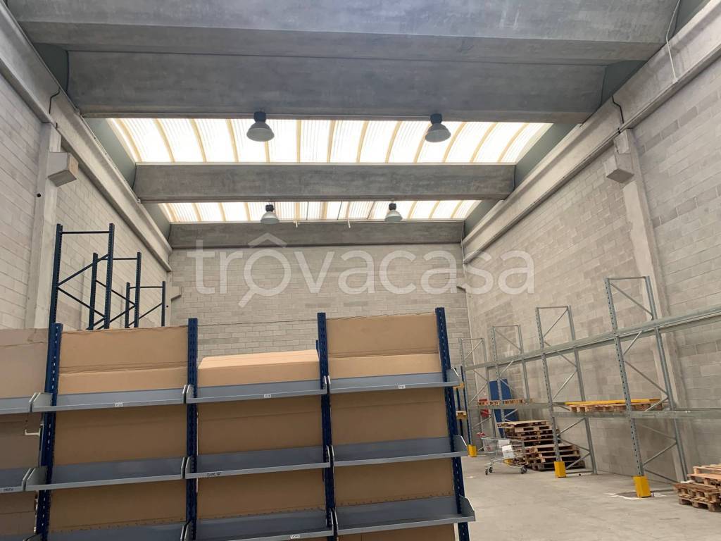 immagine annuncio 2 di 9