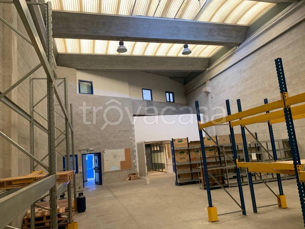 immagine annuncio 3 di 9