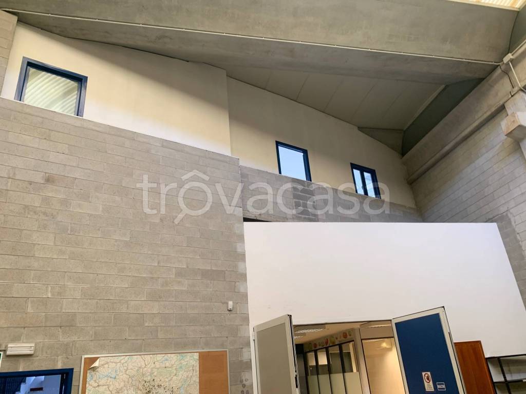 immagine annuncio 5 di 9