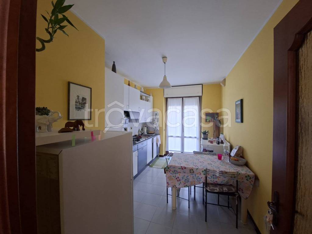 immagine annuncio 2 di 12