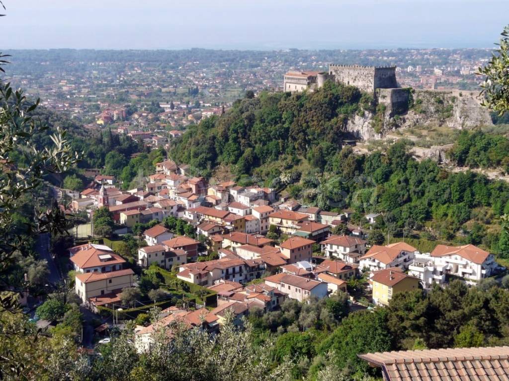 immagine annuncio 2 di 8