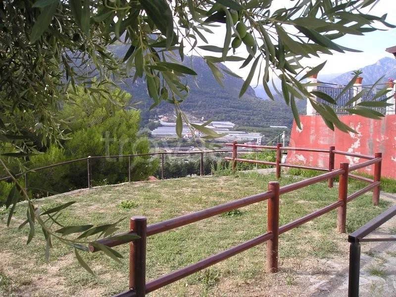 immagine annuncio 3 di 8