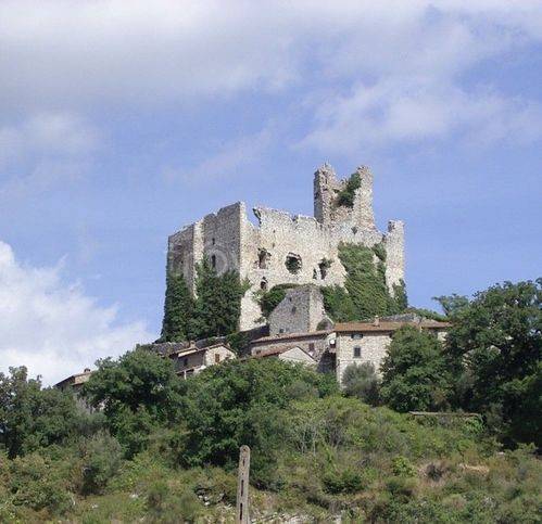 immagine annuncio 10 di 14