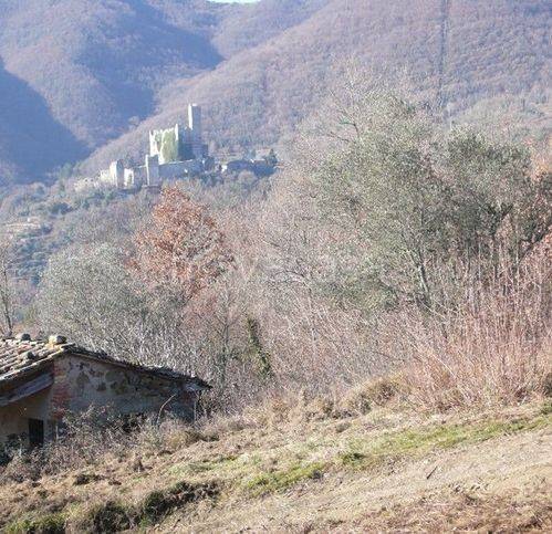 immagine annuncio 12 di 14