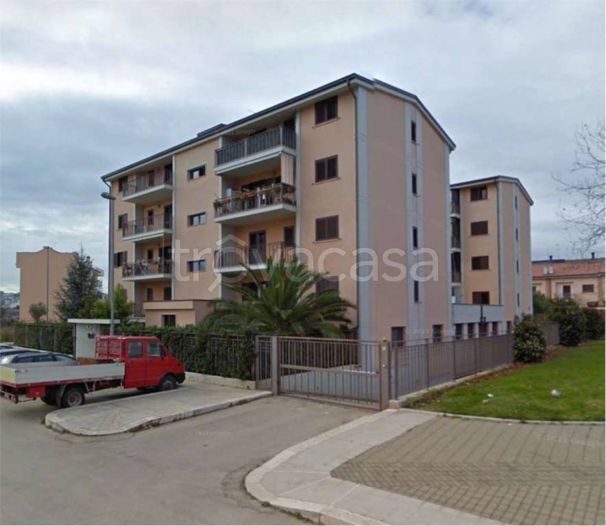 immagine annuncio 3 di 12