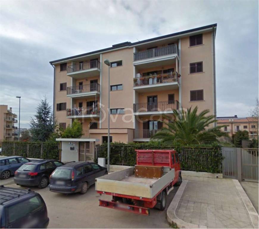 immagine annuncio 5 di 12