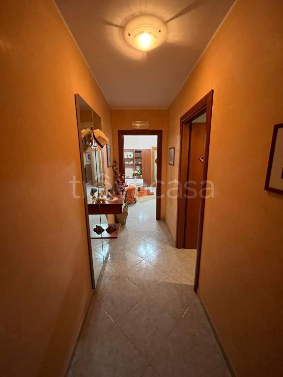 immagine annuncio 9 di 14