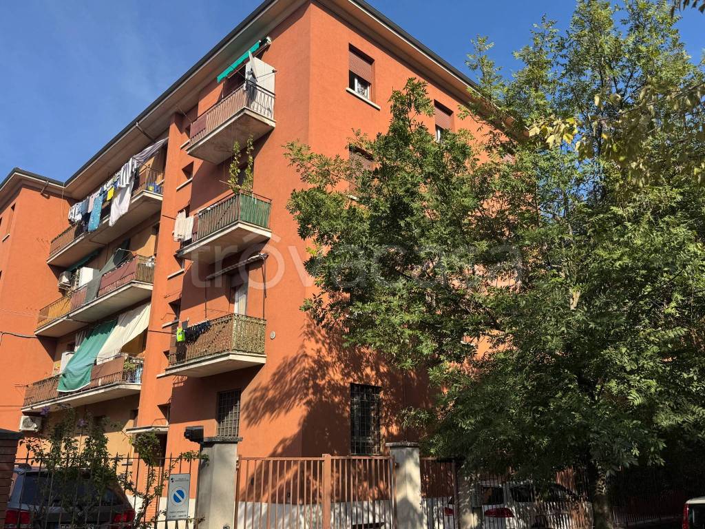 immagine annuncio 12 di 14