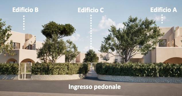 immagine annuncio 7 di 14