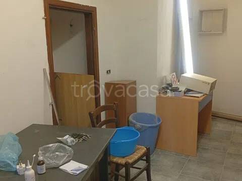 immagine annuncio 9 di 14