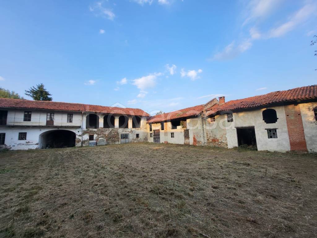 immagine annuncio 3 di 12