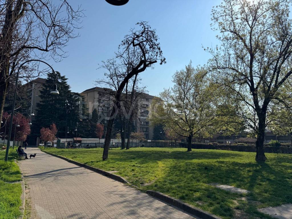 immagine annuncio 5 di 15