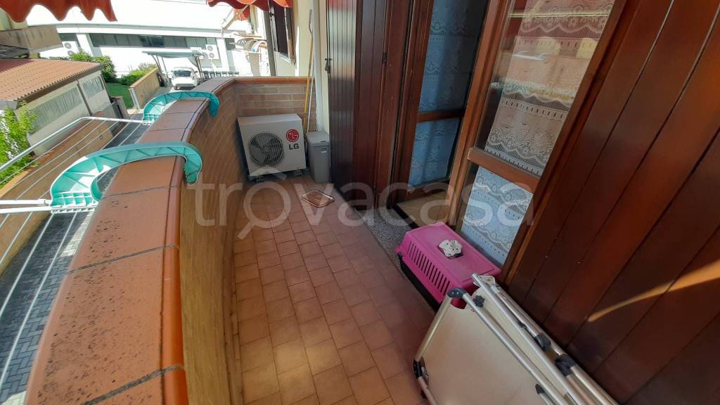 immagine annuncio 7 di 12