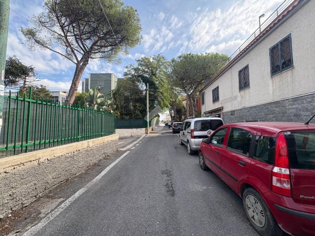 immagine annuncio 10 di 11