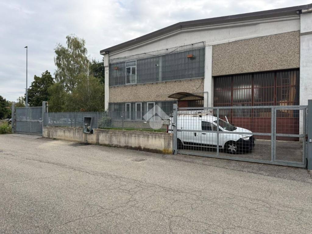 immagine annuncio 2 di 15