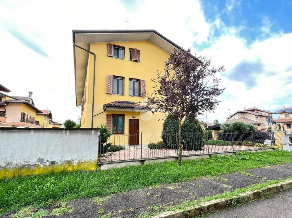 immagine annuncio 3 di 15