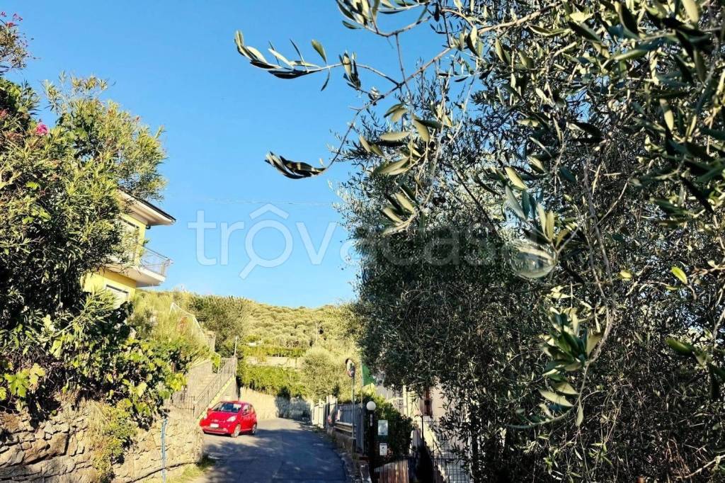 immagine annuncio 13 di 14