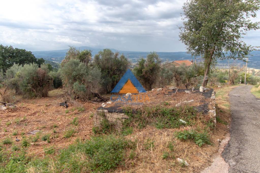 immagine annuncio 3 di 7